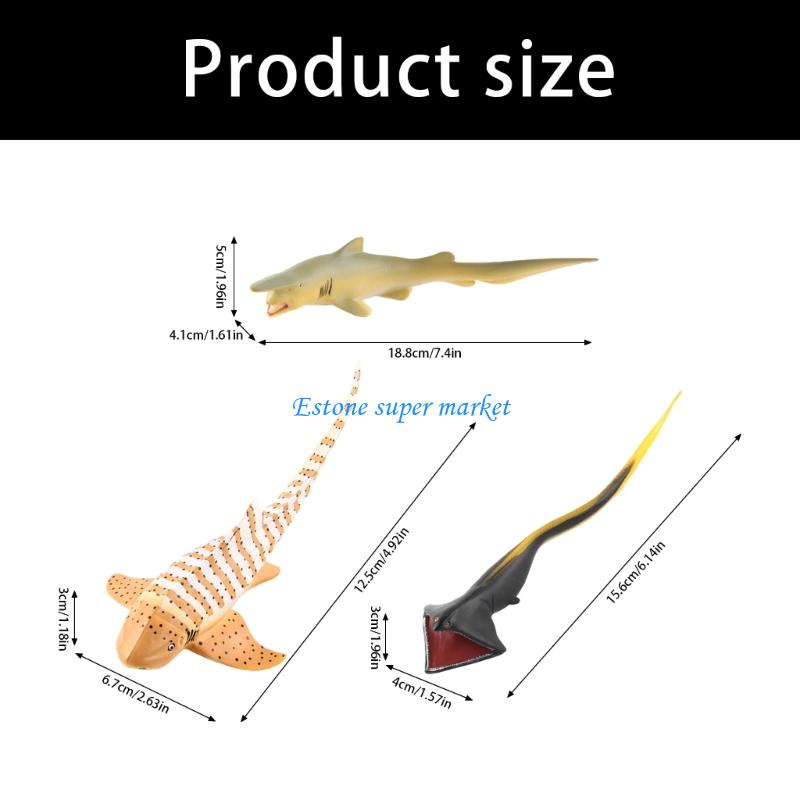 090B Moray Fish Model Realisti - Science Exhibition Models recensie en prijs