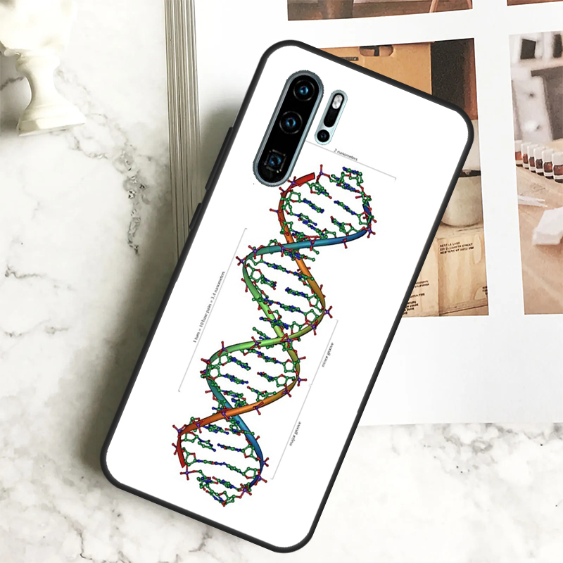 Wetenschap DNA Biologie Voor H - Science Nova recensie en prijs