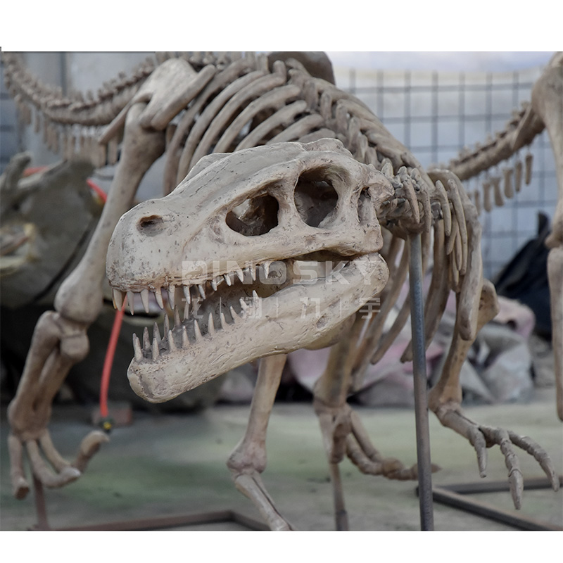 ATV&UTVResin Raptor Skelet Fos - Science Exhibition Models recensie en prijs